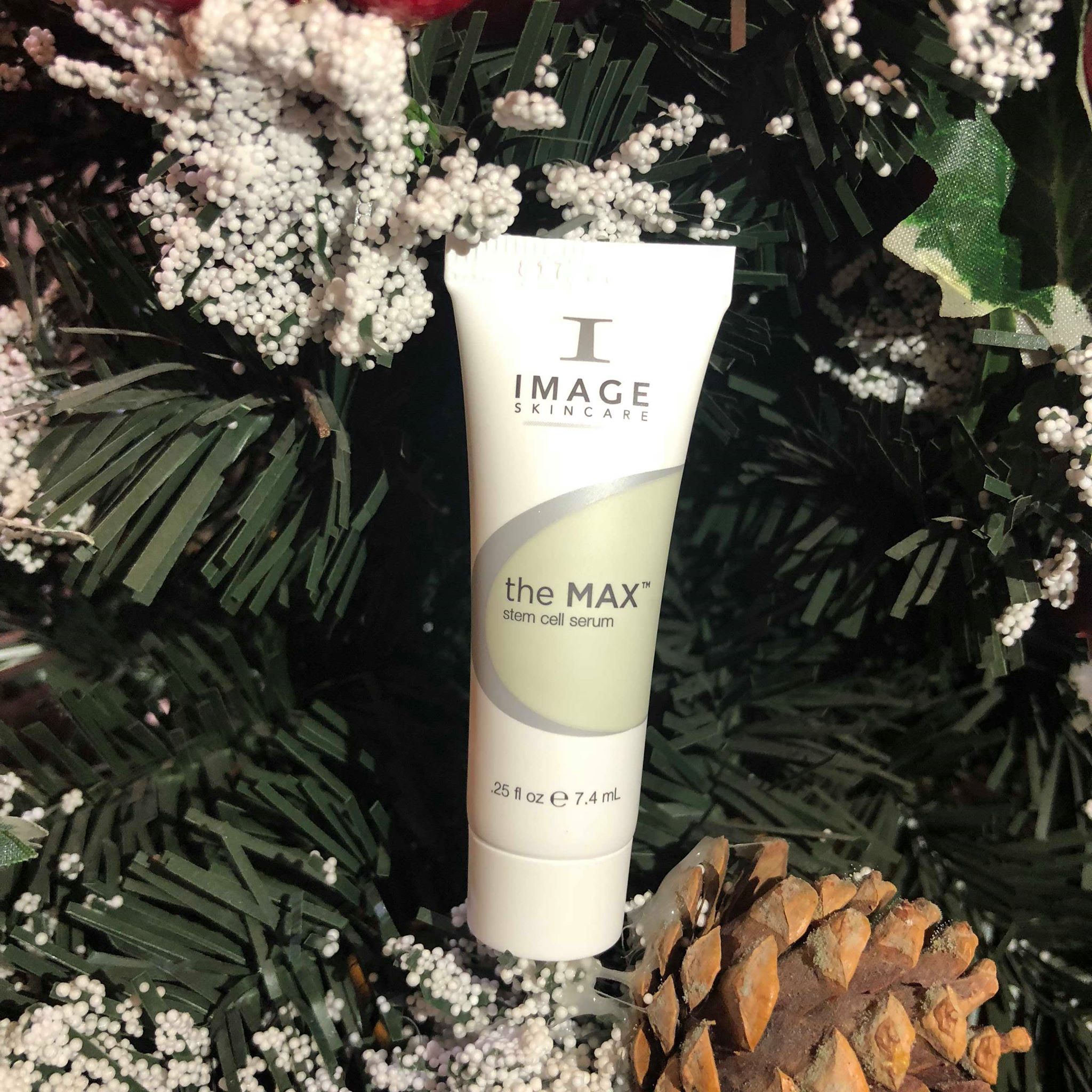 The MAX Stem Cell Serum mini